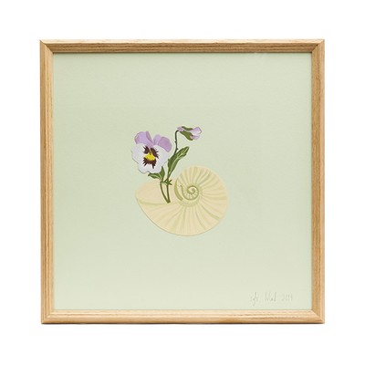 Pansy & Shell Framed Artwork from Isla Simpson