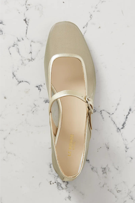 Metallic Leather-Trimmed Mesh Mary Jane Ballet Flats from Le Monde Beryl