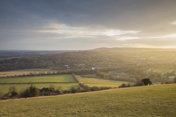 Box Hill, Surrey