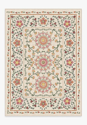Suzani Coral Rug from Ruggable