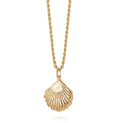 Isla Large Shell Necklace 18ct Gold Plate from Daisy Jewellery