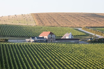 Rathfinny Wine Estate