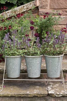 Three Galvanised Pots & Stand from Waitrose & Partners