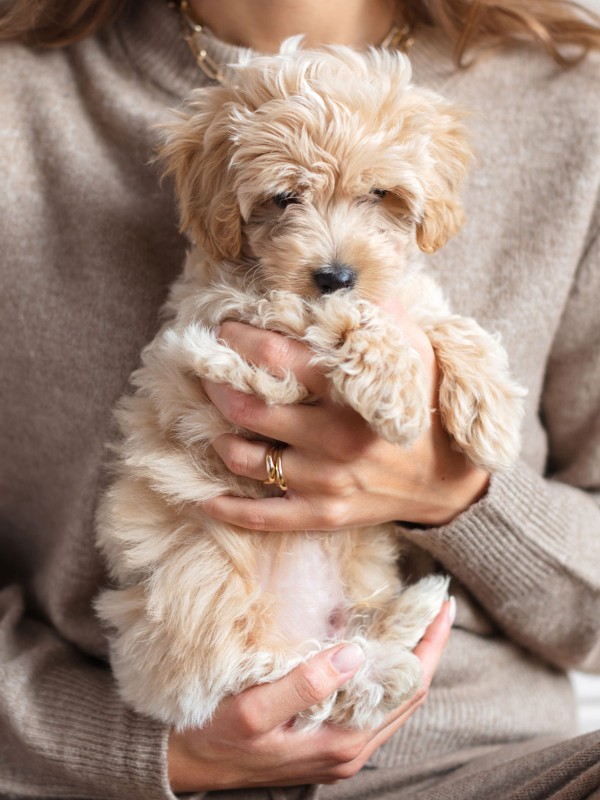 How Adopting A Pet Can Change 2 Lives