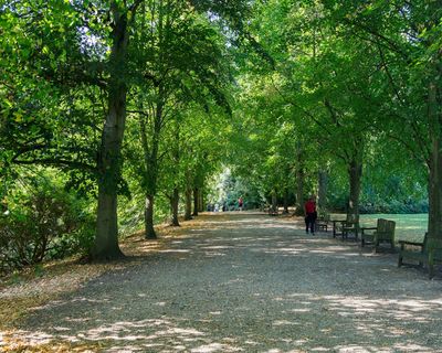 Hampstead Heath Circular Trail