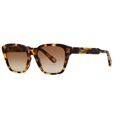 Tortoiseshell Oval-Frame Sunglasses from Chloé