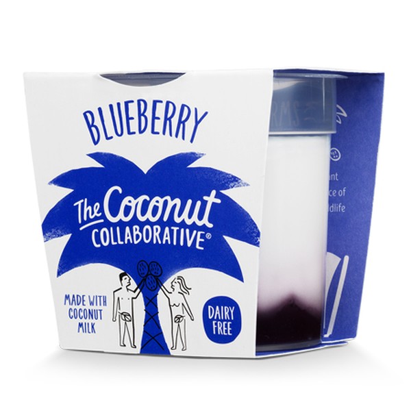 Dairy Free Blueberry Yogurt