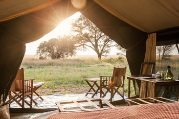 Trips Of A Lifetime: African Safaris