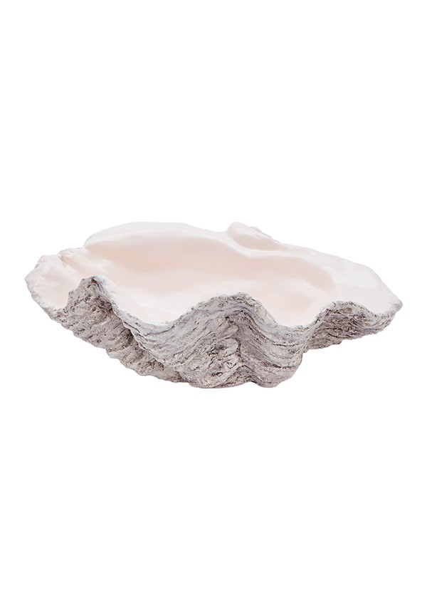 Classic Giant Ceramic Clam Shell from Matilda Goad