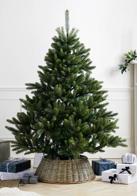 Symons Nordmann Fir Christmas Tree, 6ft from The White Company