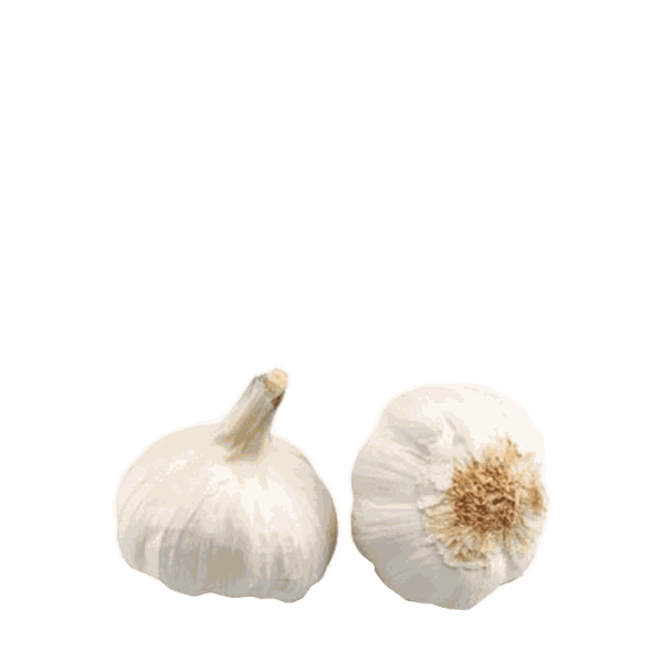 Large Garlic from Waitrose