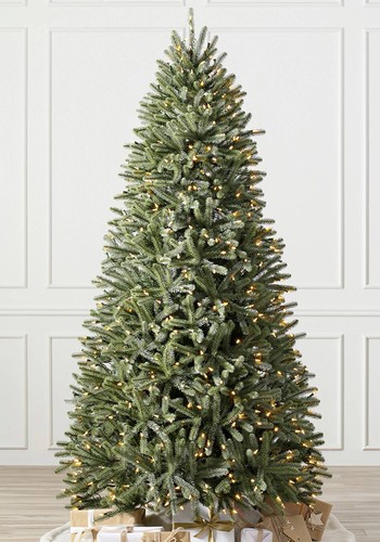 Royal Blue Spruce from Balsam Hill