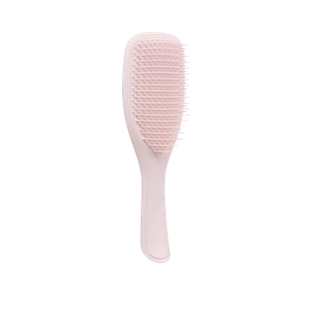 The Wet Detangler Hairbrush from Tangle Teezer