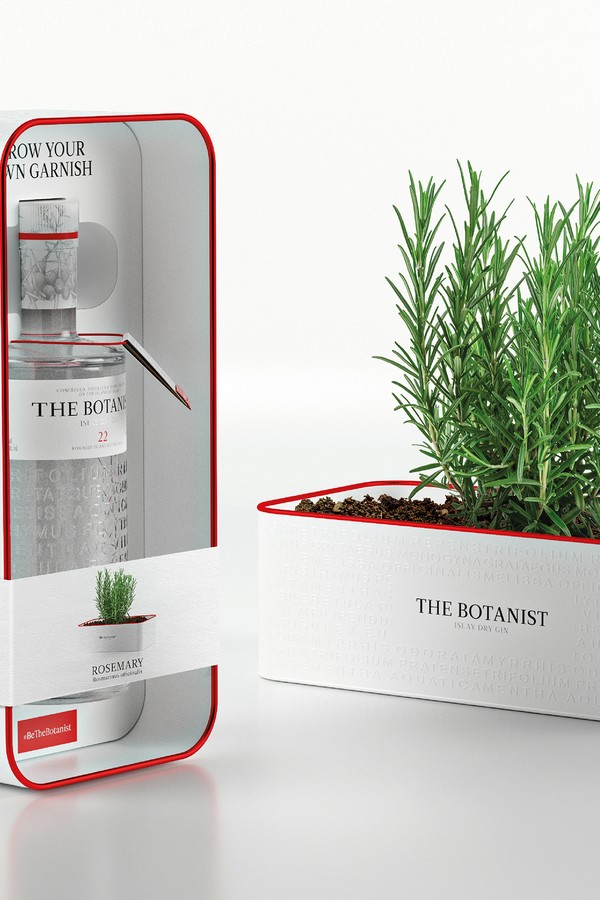 The Botanist Tin Planter from The Botanist