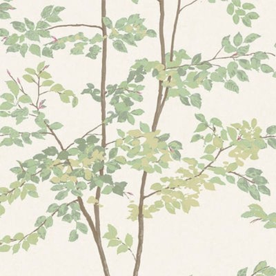 Beech Wallpaper from Lewis & Wood 