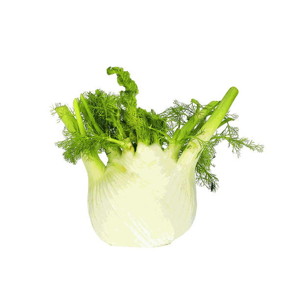 Distinctive Fennel from Marks & Spencer