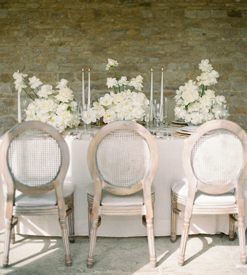 White Louis Chair for Hire - Luxury Wedding Furniture Hire