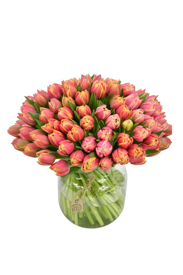 Tulips Fresh Flower Bouquet from Flowers & Plants Co.