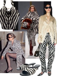 The Round Up: Zebra Print