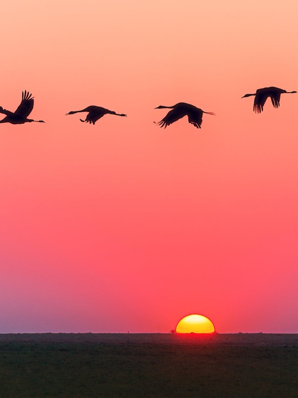 10 Ways To Maintain A Calm And Positive Attitude