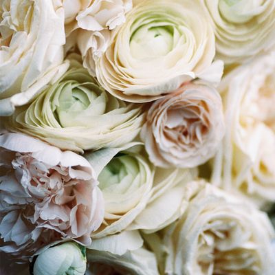 The Best Flowers For Winter Weddings