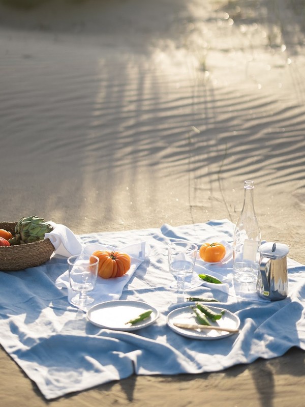 Stylish Picnicware To Buy Now