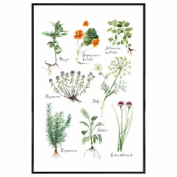 Kitchenherbs Janine Sommer Framed Poster from Junique