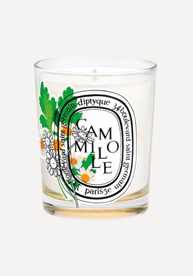Chamomile Scented Limited-Edition Candle from Diptyque