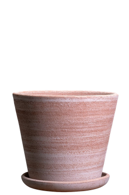 Julie Raw Rosa Terracotta Planter  from Bergs 