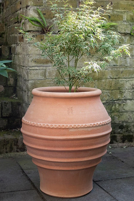 Koronios Terracotta Pot from Waitrose Garden