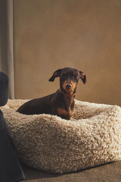 Faux Shearling Pet Bed from Zara