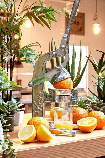 Artisan Citrus Juicer from Urban Outfitters