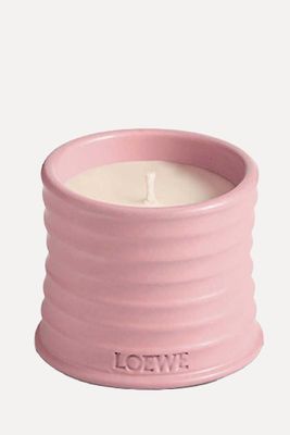Small Ivy Candle from Loewe