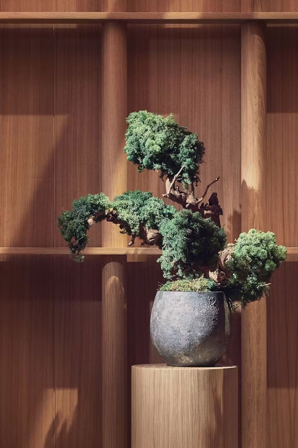 Recover & Restore Spa Experience from Claridges