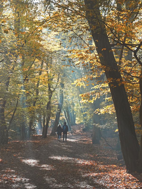 12 Autumn Weekend Walks In The Capital 