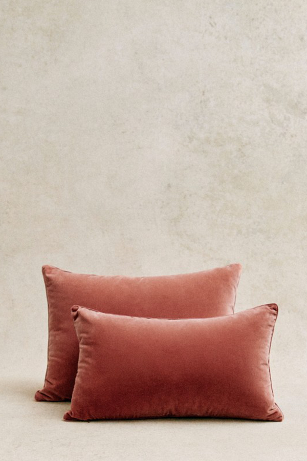 Velvet Cushion