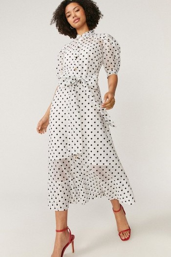 Spot Organza Puff Sleeve Dress 