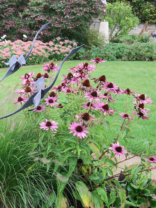 In Conversation With… Garden Designer Cherry Mills