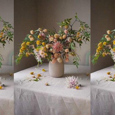 Shida Preserved Flowers  Long-Lasting Flower Delivery