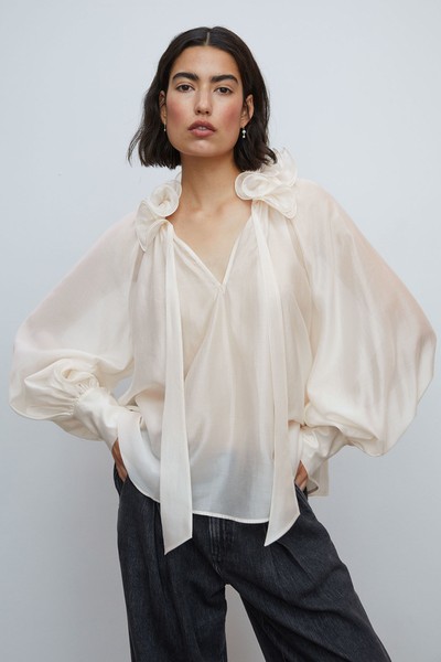 Sheer Ruffle Collar Blouse from & Other Stories