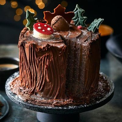 Woodland Yule Log from Marks & Spencer