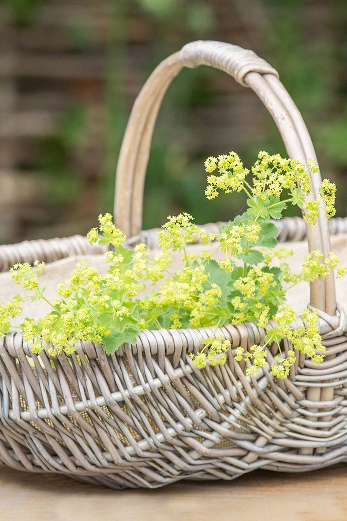 Willow Flower Trug from Sarah Raven