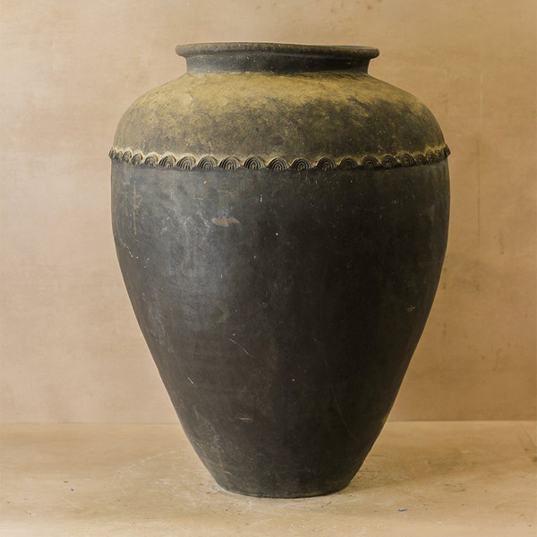Asian Pots from Botanical Boys