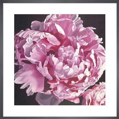 Peony I from Elizabeth Hellman