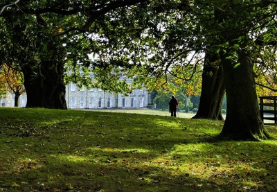 Petworth Park