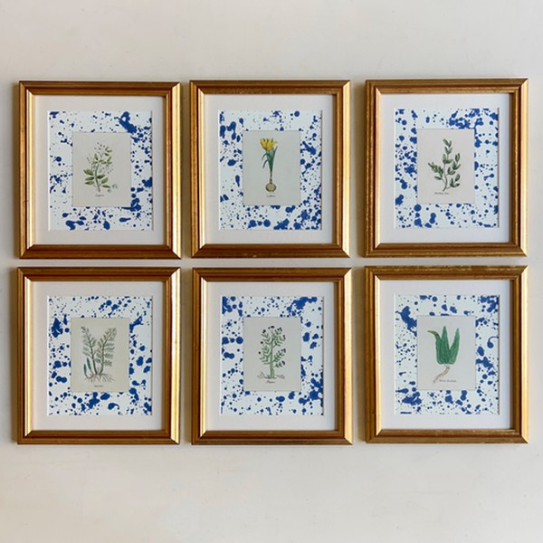 The Culinary Botanicals from Petri Prints