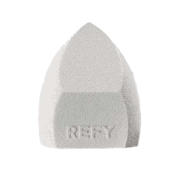 Beauty Sponge from Refy