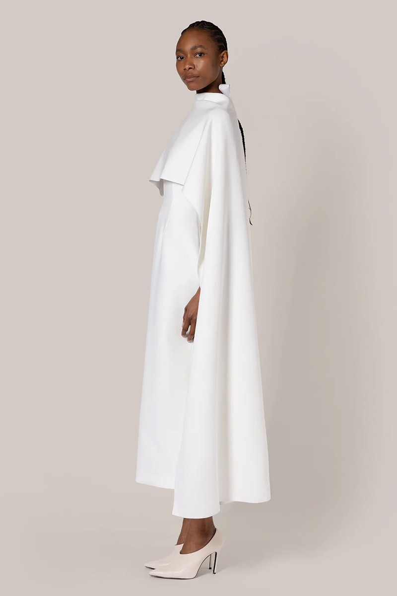 Elina Dress from  Roksanda