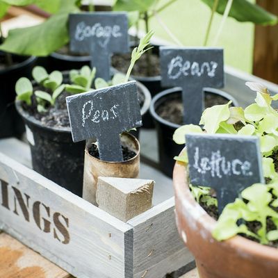 Set Of 6 Greenhouse Tags from Garden Trading