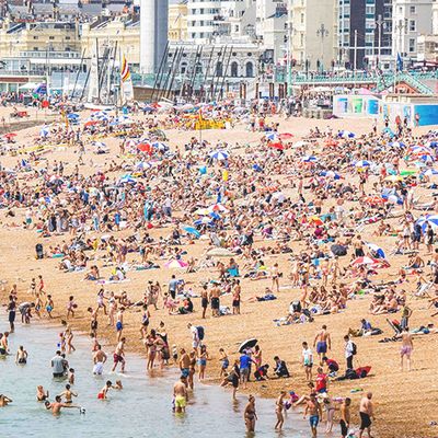 Should We Be Worried About Britain’s Heatwave?